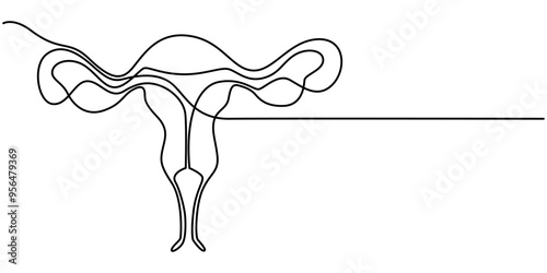 Continuous single one line drawing Uterus and ovaries, organs of female reproductive system and women's day conpect  vector art illustration, Woman reproductive system, one line continuous. Line art