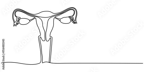 Continuous single one line drawing Uterus and ovaries, organs of female reproductive system and women's day conpect  vector art illustration, Woman reproductive system, one line continuous. Line art
