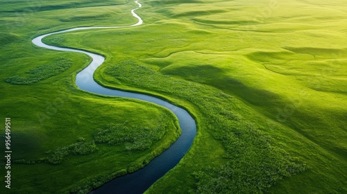 an aerial shot of a winding stream cutting through a grassy plain, with patches of wildflowers adding bursts of color to the landscape