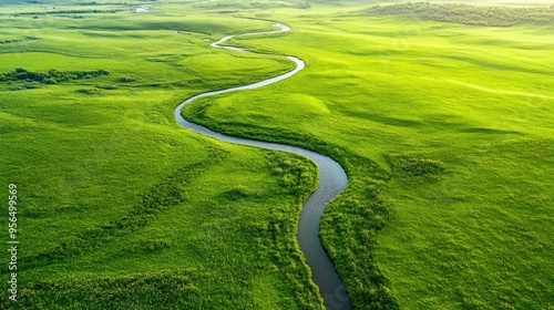 an aerial shot of a winding stream cutting through a grassy plain, with patches of wildflowers adding bursts of color to the landscape