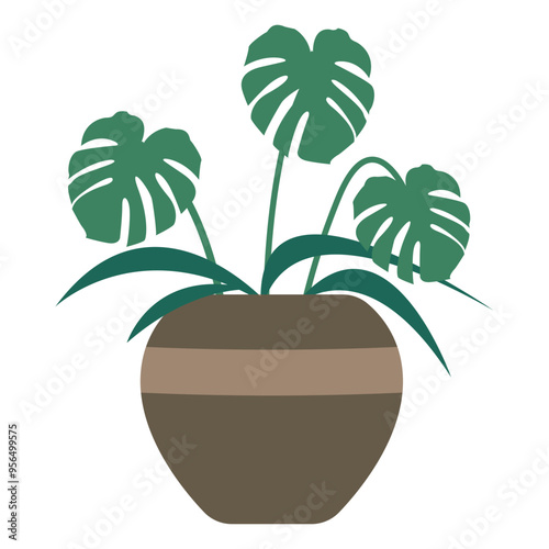 Indoor Potted Monstera Plants Illustration