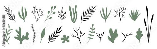 Hand drawn plants, herbs, flowers. Vector set of doodle boho minimal natural botanical elements for graphic design