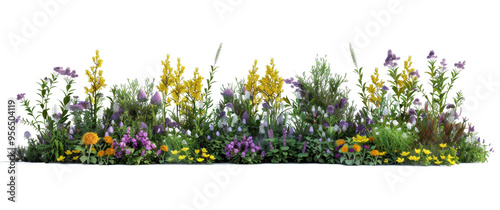 Fototapeta Naklejka Na Ścianę i Meble -  A colorful garden with a variety of flowers and plants