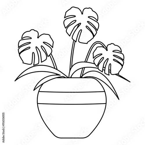 Indoor Potted Monstera Plants Line Art Illustration