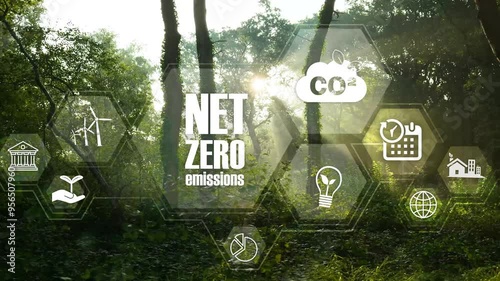 Net zero emission and carbon neutral concept with Net zero icons In Green Forest With Sunlight. net zero greenhouse gas emissions target Climate neutral long term strategy on a green background