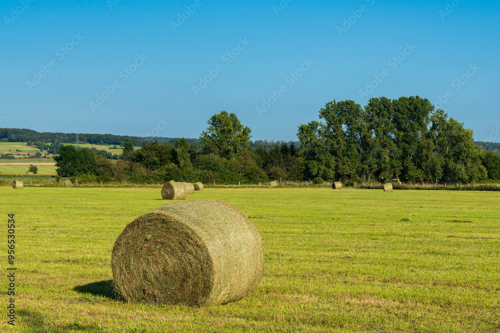 A large bale of hay sits in the middle of an open field A large bale of hay sits in the middle of an open field