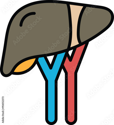 A cartoon drawing of a liver with red and blue veins