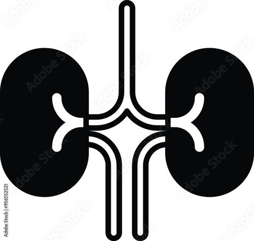 A drawing of a pair of kidneys with black and white lines