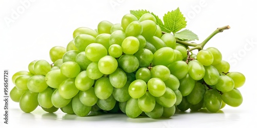 Isol?s raisins de vin vert , isolated, white wine grapes, green grapes, vineyard, winemaking, agriculture, harvest photo