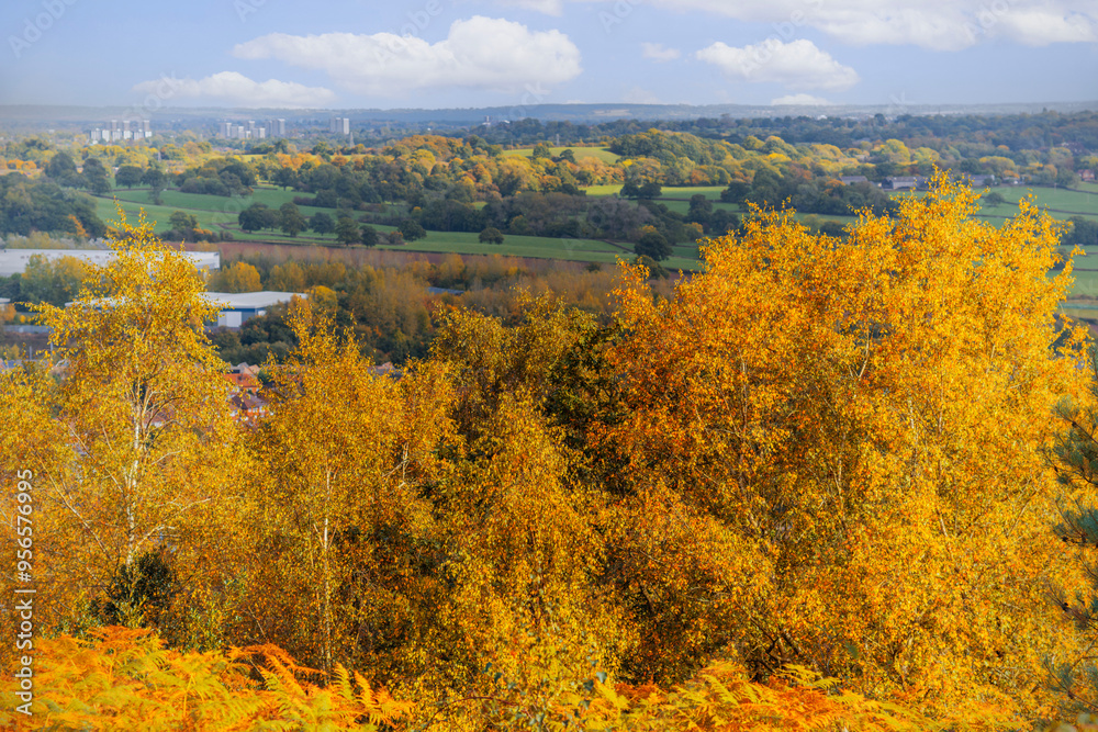 heathland lickey hills country park overlooking city of birmingham england uk heathland lickey hills country park overlooking city of birmingham england uk