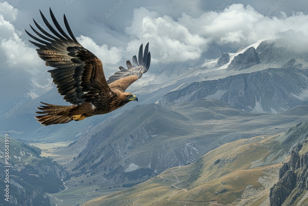 Fototapeta premium An image of a majestic golden eagle soaring high above the Pyrenees mountains