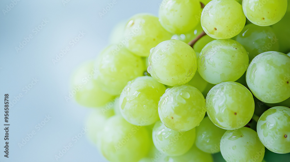 bunch of green grapes isolated in a white background. bunch of green grapes isolated in a white background.