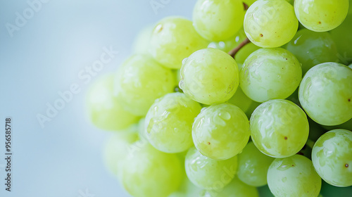 bunch of green grapes isolated in a white background.