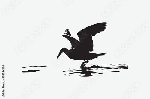 Pelican Bird vector art illustration photo