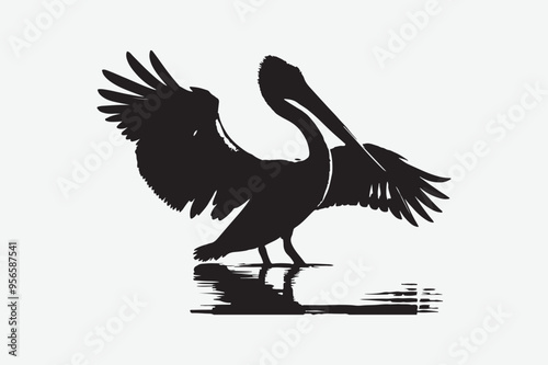 Pelican Bird vector art illustration photo