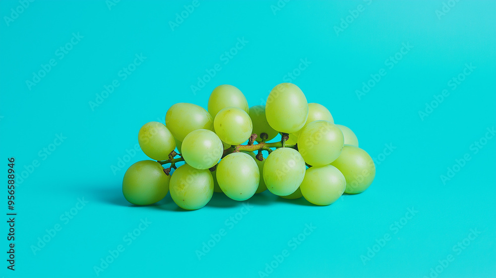 Fototapeta premium grapes on a blue background.