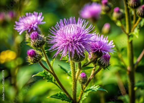 A purple-flowering weed sprouts amidst the underbrush, its serrated leaves a vibrant contrast to the earthy tones of the natural environment. photo