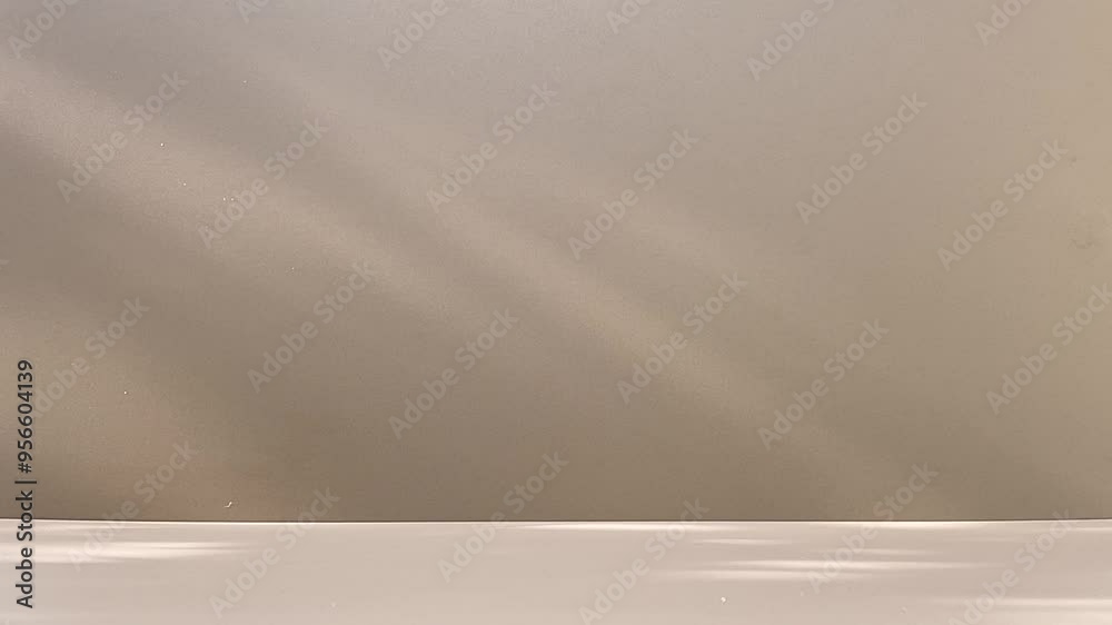 Empty room, Grey Concrete Wall With Leaves Shadow Motion Empty room, Grey Concrete Wall With Leaves Shadow Motion