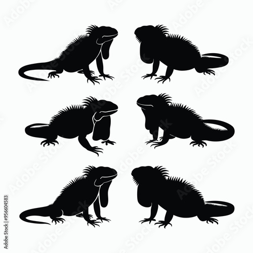 Iguana Silhouette Vector Set Animals Illustration Template