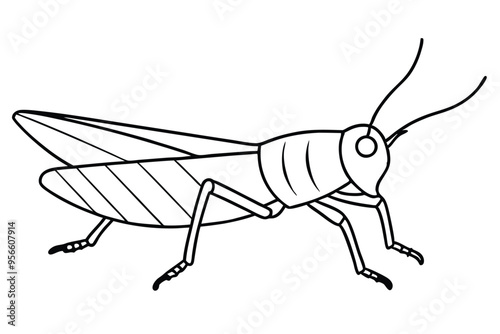 A Grasshopper line art vector illustration