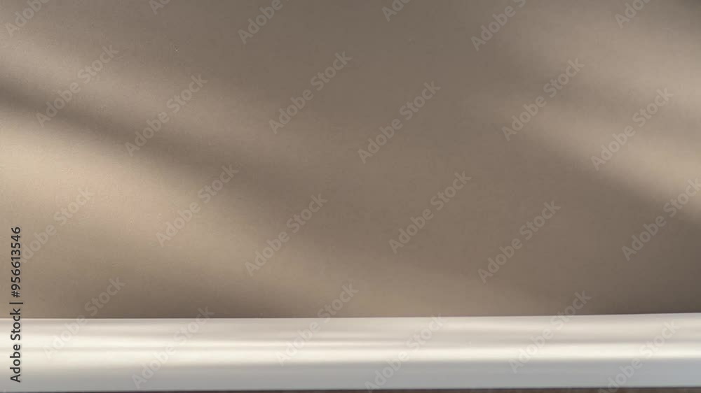 Empty room, Grey Concrete Wall With Leaves Shadow Motion Empty room, Grey Concrete Wall With Leaves Shadow Motion