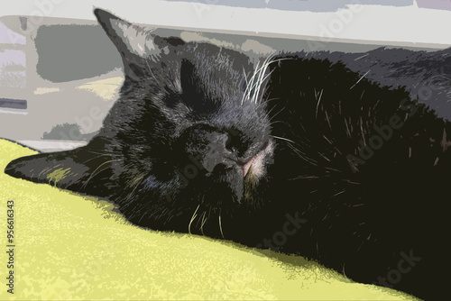Black cat sleeps on a pet pillow. Pet store item in usage by domestic cat. Horizontal photo