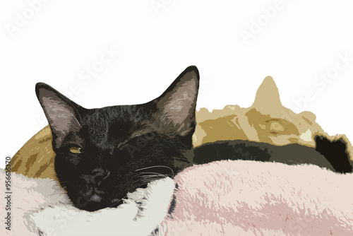 Black cat sleeps on a pet pillow. Pet store item in usage by domestic cat. Horizontal photo