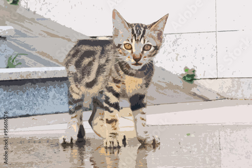 cute tiger cat. Kitten yellow eyes