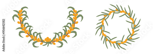 Illustration featuring two sea buckthorn berry wreaths with green leaves, arranged in circular patterns of the bright orange berries and fresh foliage.