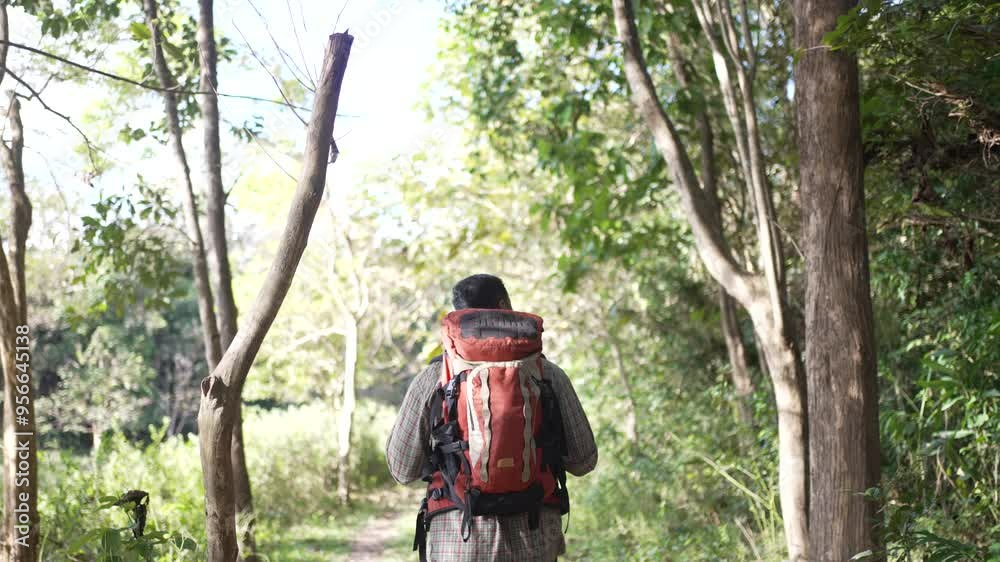 Man go to travel at natural park. Environment and outdoor activity. Man go to travel at natural park. Environment and outdoor activity.