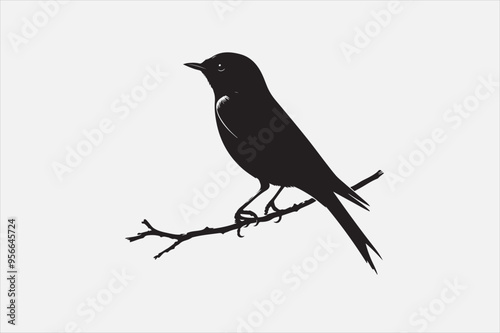 A bird  with white background