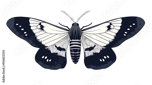 Insect in Style of Line Art Butterfly with Black Outline
