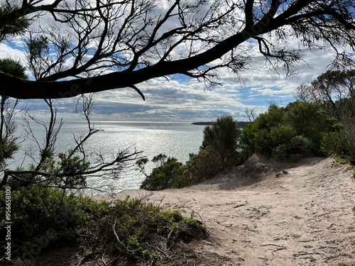 Beach Scenery