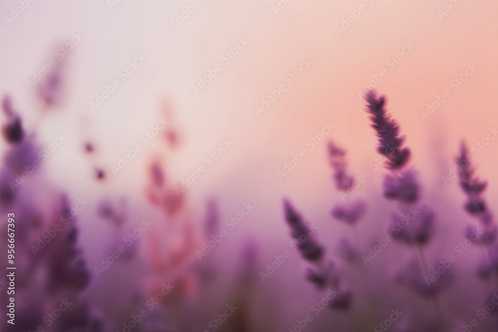 Fototapeta premium Ethereal Lavender and Peach Gradient Blurred Imagery in Elegant Simplicity