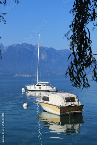 yachts in the bay photo