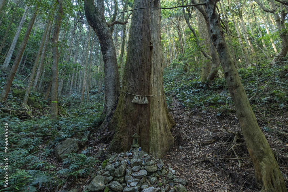 Fototapeta premium 三重県志摩市磯部町にある天の岩戸の猿田彦の祠