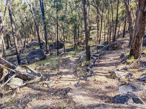 Beechworth MTB Trails in Australia photo