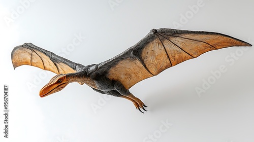 A model of a pterodactyl dinosaur soars against a stark white background. photo