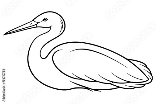  Egret bird lies icon line art vector art illustration photo