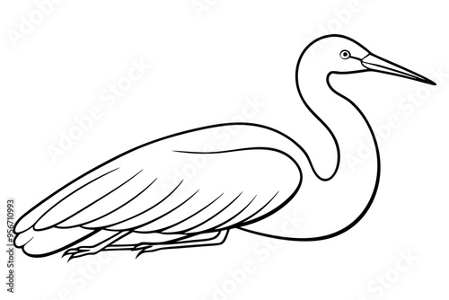  Egret bird lies icon line art vector art illustration photo