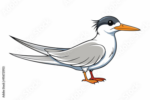  Elegant tern bird goes icon vector art illustration photo