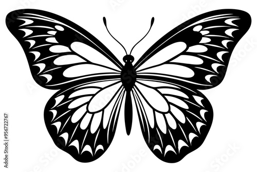 butterfly silhuette vector illustration