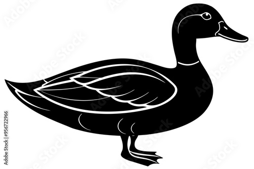 duck isolated silhuette vector illustration