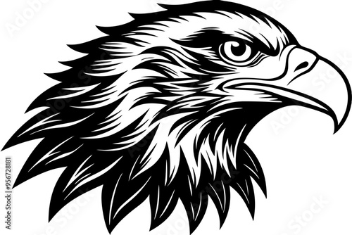 a  egle   head silhuette vector illustration