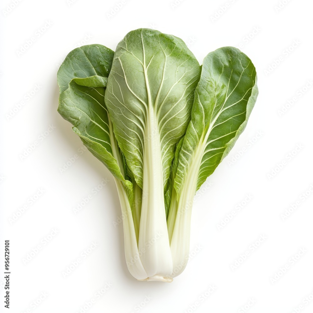 Fresh bok choy lying on a white background showcasing its vibrant green leaves and crisp texture