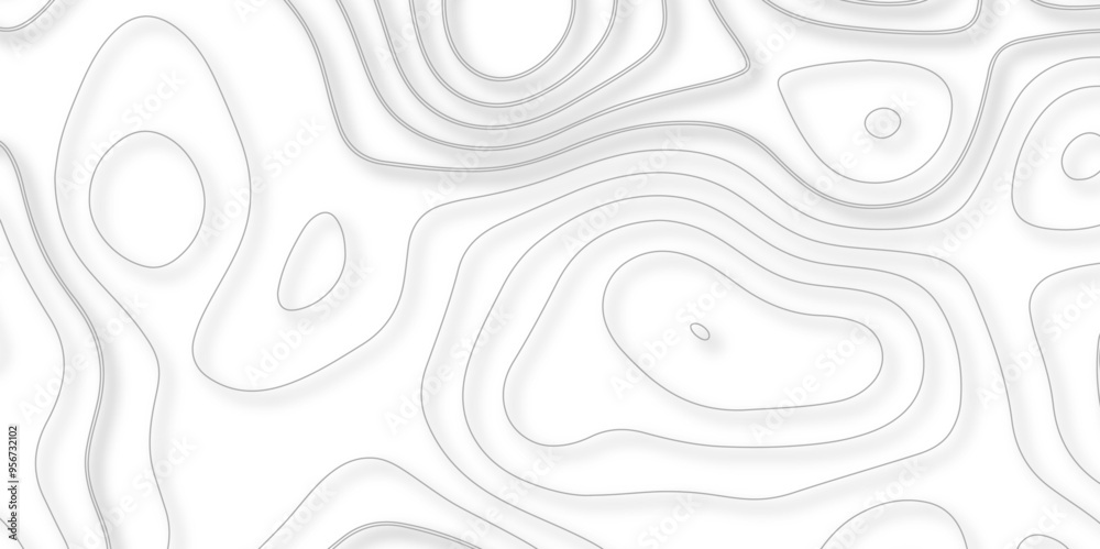 A Thorough Investigation of Topography and Topology in the Design of Vector Maps and Their Contribution to the Precision of Background Layers A Thorough Investigation of Topography and Topology in the Design of Vector Maps and Their Contribution to the Precision of Background Layers