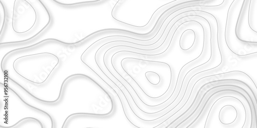 A Thorough Investigation of Topography and Topology in the Design of Vector Maps and Their Contribution to the Precision of Background Layers