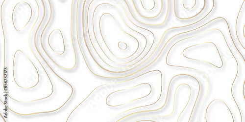 A Thorough Investigation of Topography and Topology in the Design of Vector Maps and Their Contribution to the Precision of Background Layers