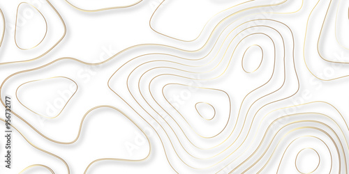 A Thorough Investigation of Topography and Topology in the Design of Vector Maps and Their Contribution to the Precision of Background Layers