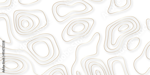 Exploring the Synergies Between Topographic Details and Topological Relationships in the Context of Vector Mapping and Background Design